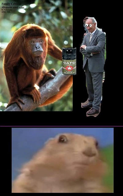 lincz!lincz!lincz!