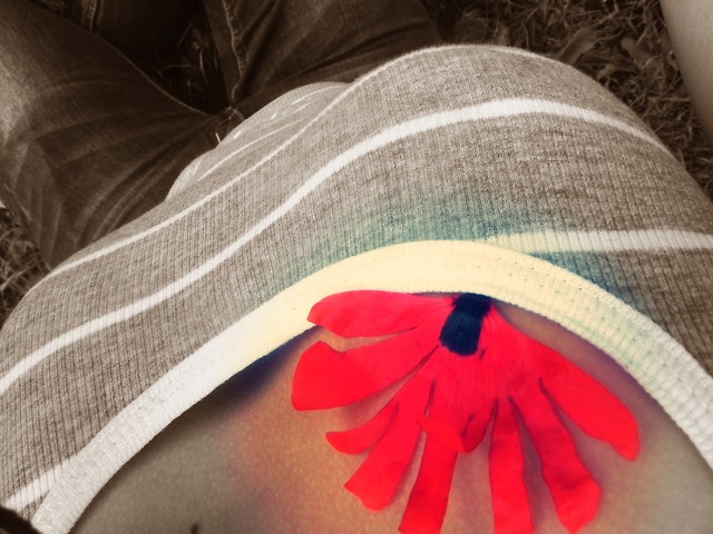 Wpis xwikusiax133
