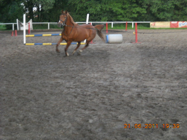 Wpis horsemanship12