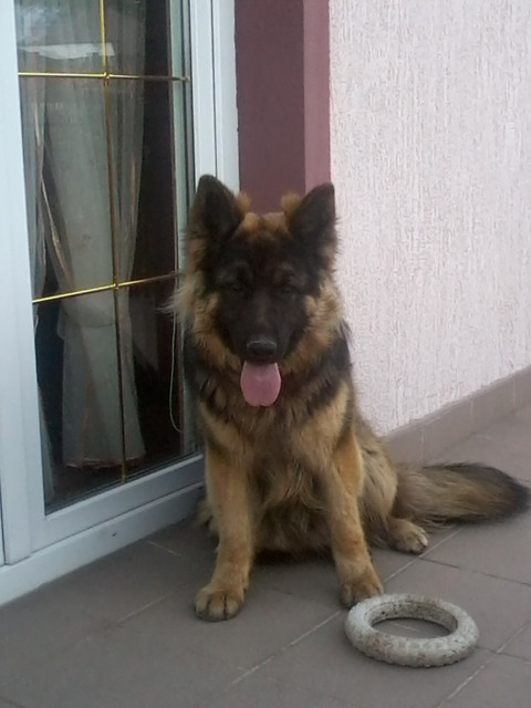 Wpis michalina9896