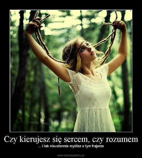 Wpis xzawszespokox3