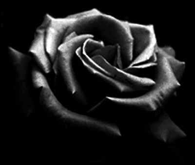 05.