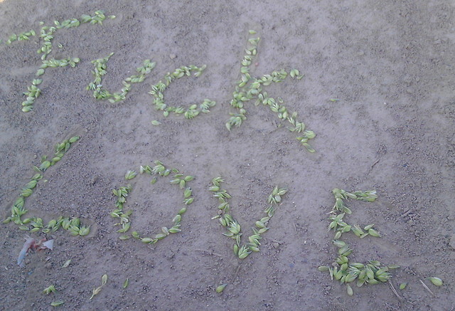 '...ale kocham cie;*!