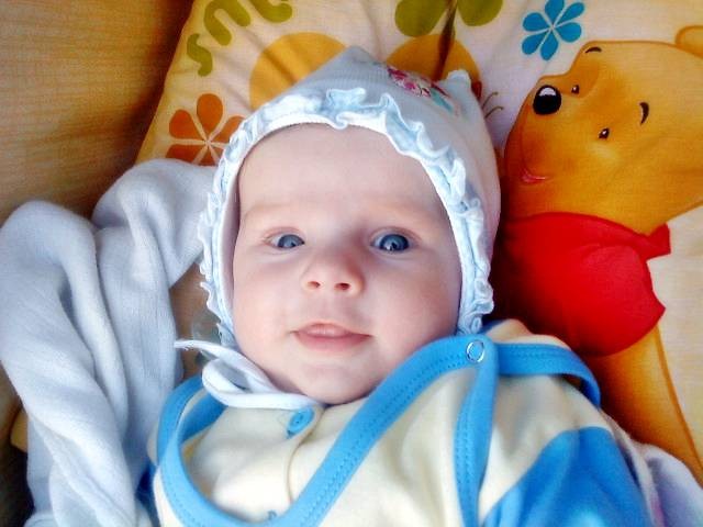 Maja 