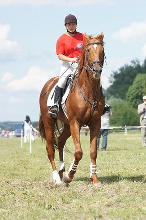 Wpis ewaolizarowicz