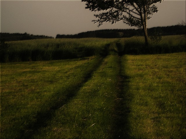 druzka