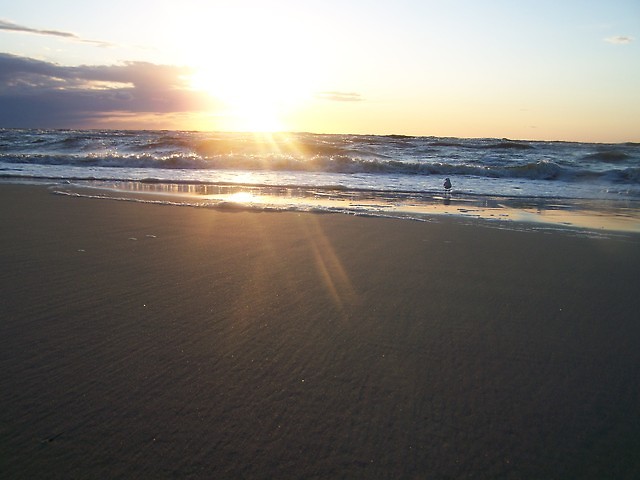 Rewa