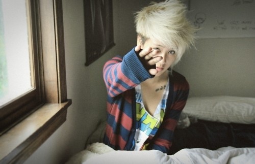 Drewno . ! . x D . 