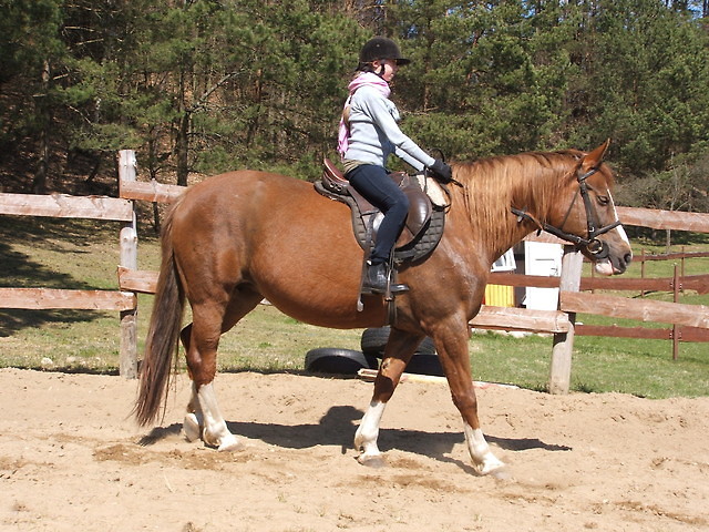 Wpis maragu1997