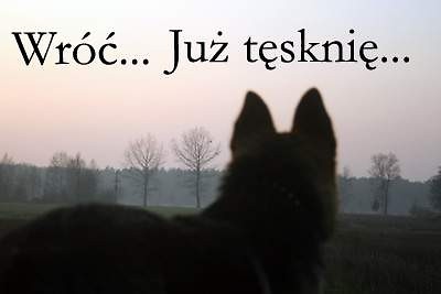 Wpis muszynska