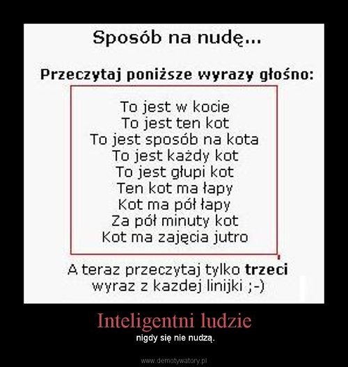 EXstra ! ; ] 