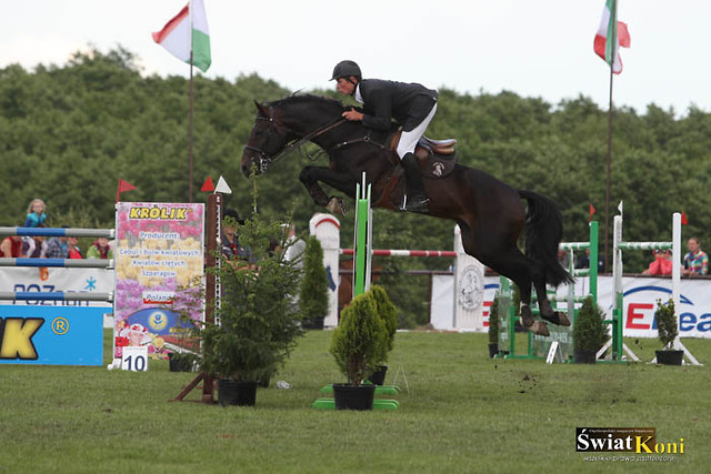 CSI2* Pozna GP 19.06.2011r.