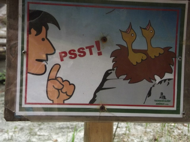 Wpis susikot