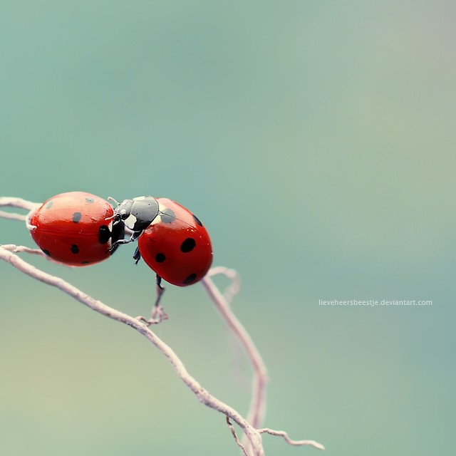 Best friends