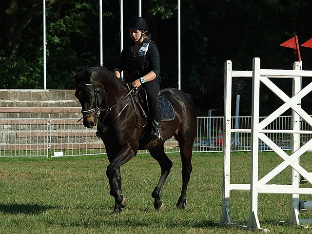 Wpis karunowa