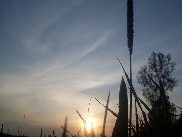 Wpis menia25