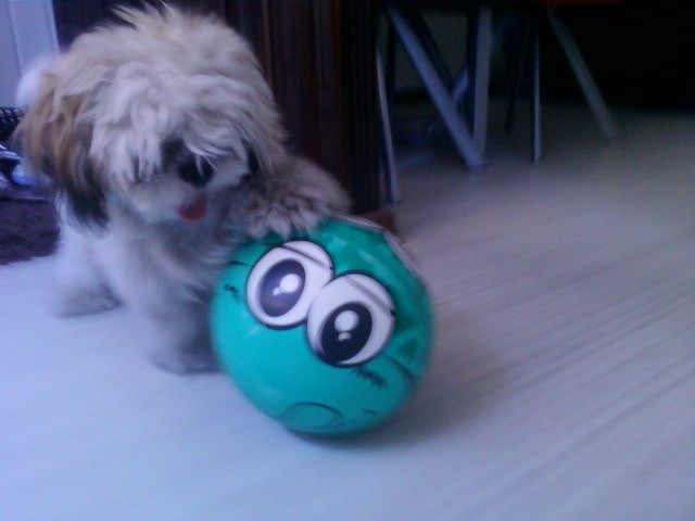 A ja w pik non graam :)