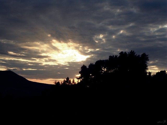 `Something 'bout the sunshine.