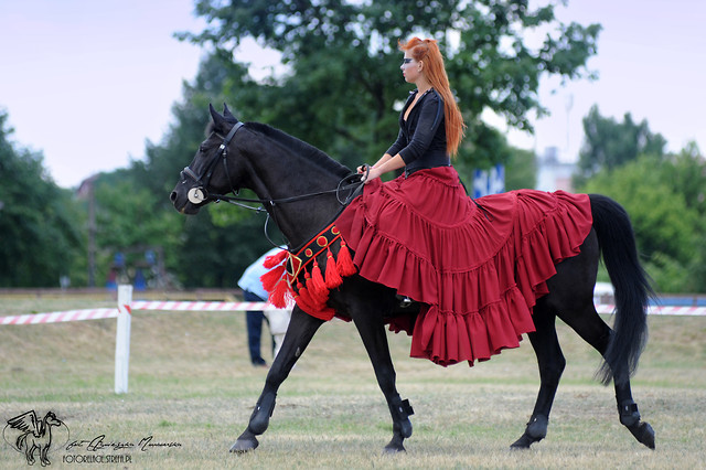 pokaz 19.06.2011 Konin