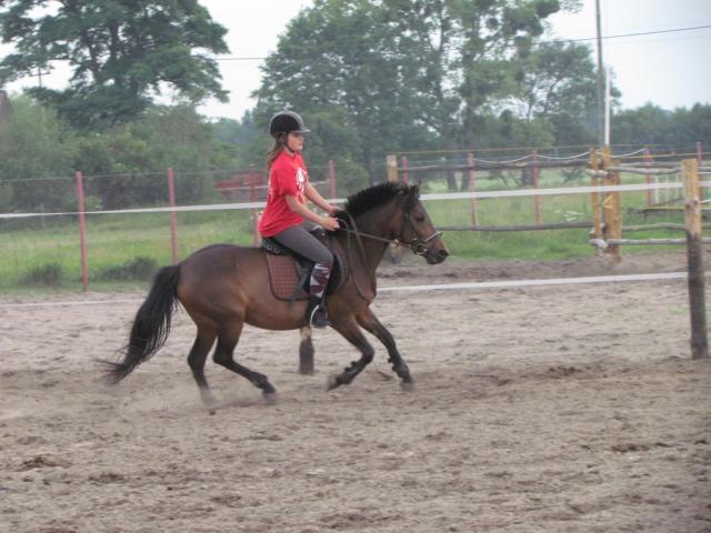 Galop :D