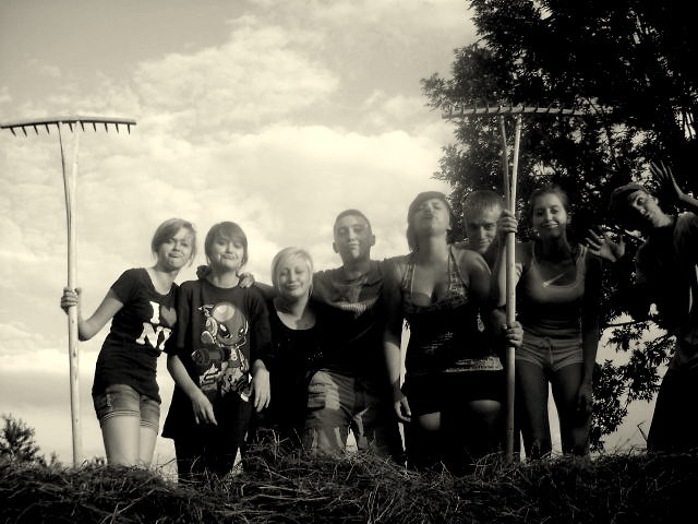 Wpis volwerin