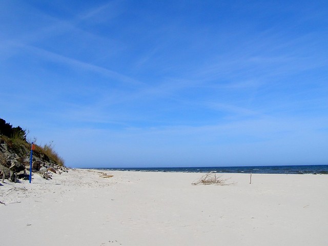 Karwia