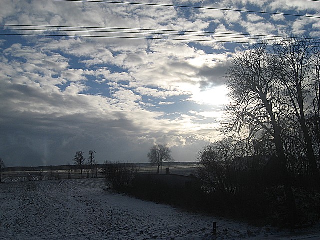 widoki