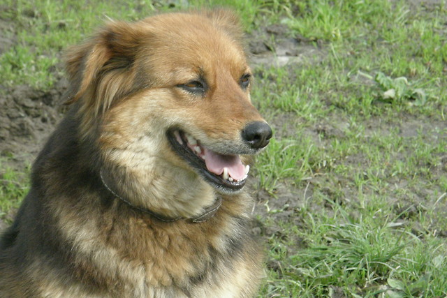 Zocha :D 