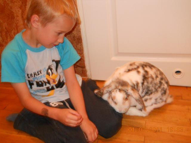 Oto moi gocie od wczoraj:)))
