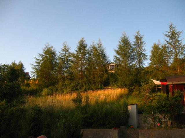 Wpis anusiak2707