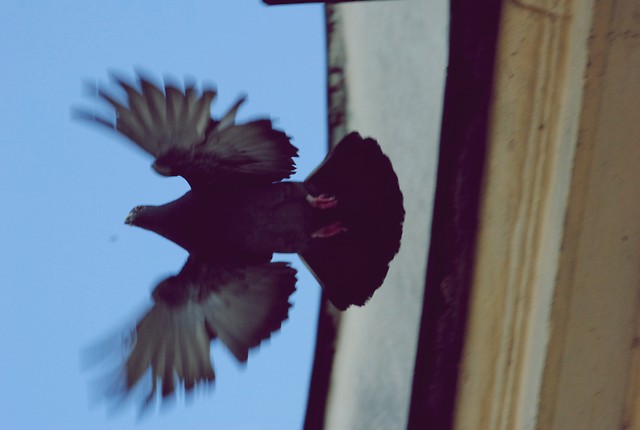 Wpis ansxphoto