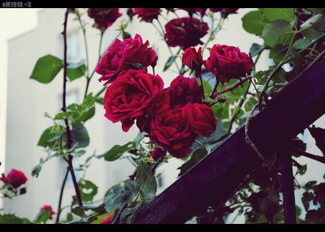 ` zatsknisz... < 3