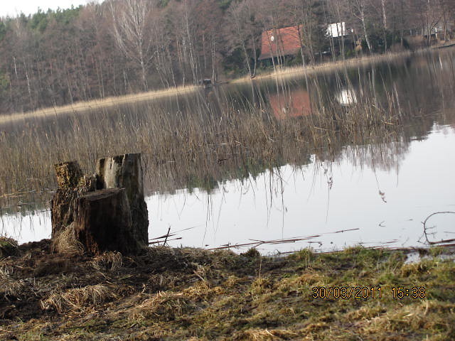 jezioro powidzkie - dziaka