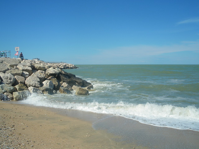 I want come back..