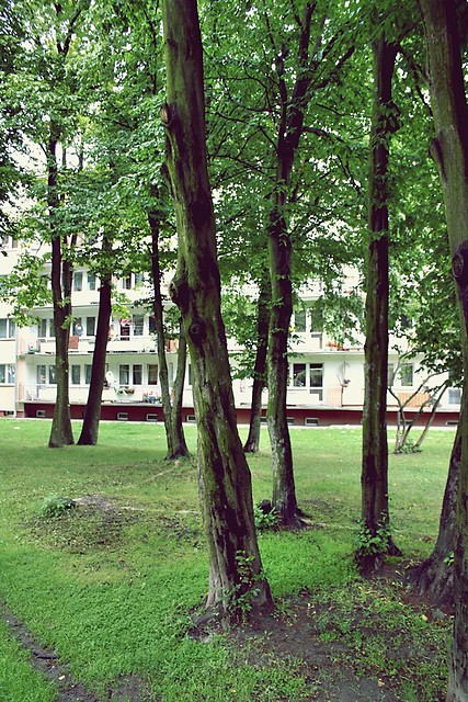 Wpis krasnik