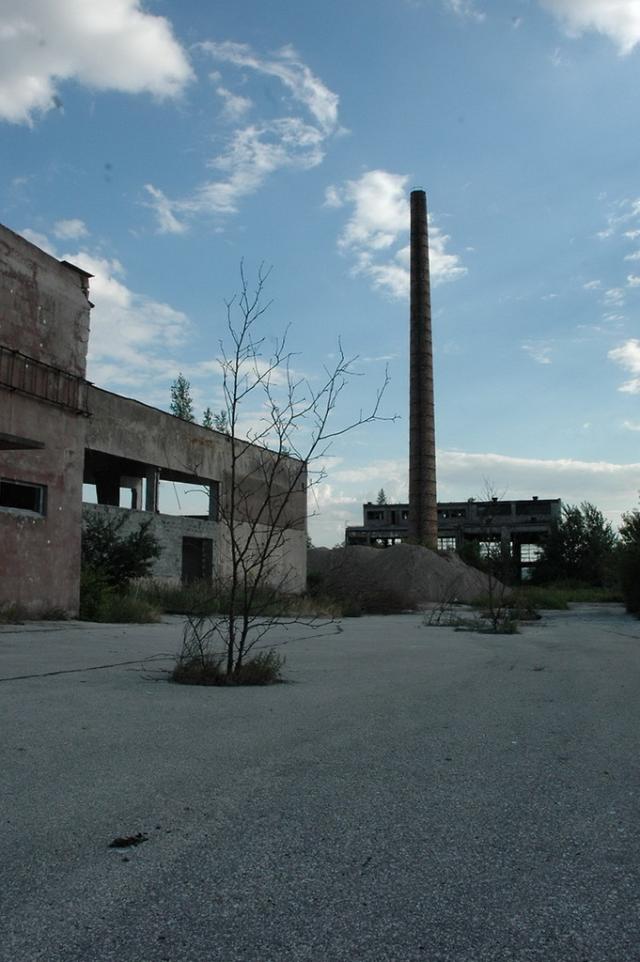 Mleczna kraina
