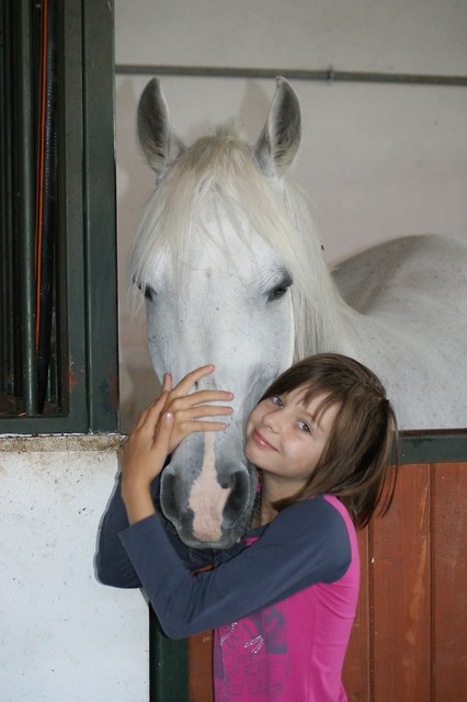 Konik ;***