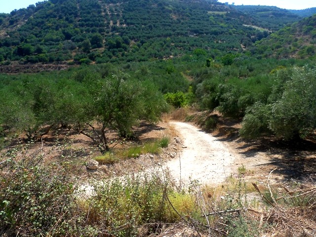 Wpis pali111