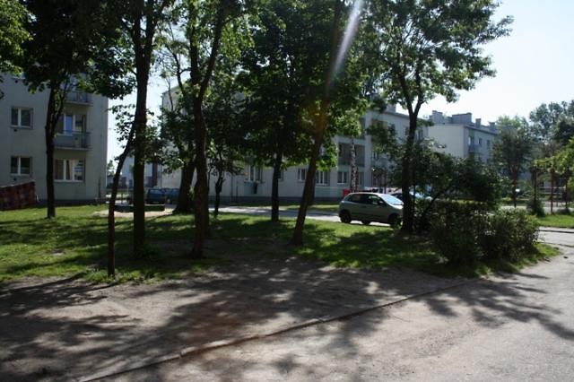 Wpis myszkownivea