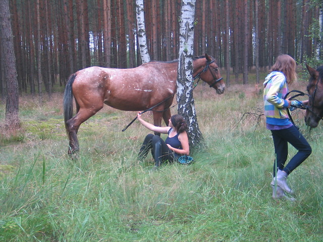 terenowate odpoczynkowate 