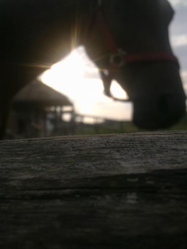 317 ... < 33 33 33 : ** ** ** ! 