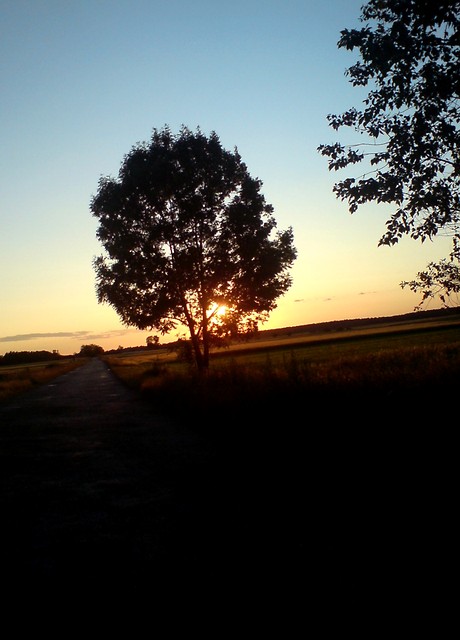 taktaktaktaktaktaktaktak! ♥