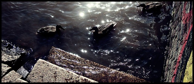 Wpis okphoto