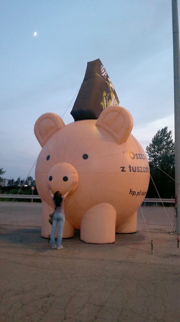Wpis moczmleczarza
