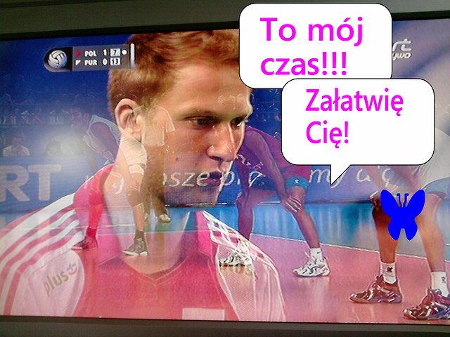 Wpis palpablelie
