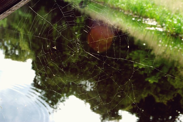 Wpis ansxphoto