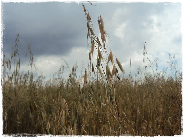 'Tajemnica niebios'