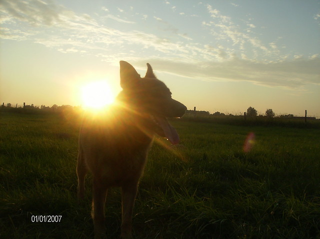 Max