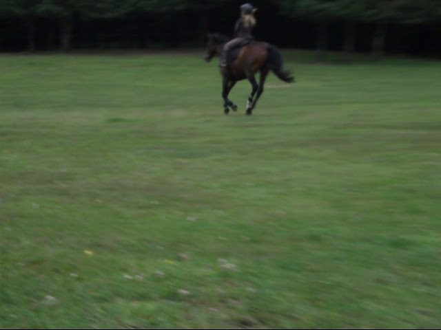 aaaa