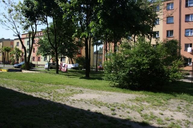 Wpis myszkownivea